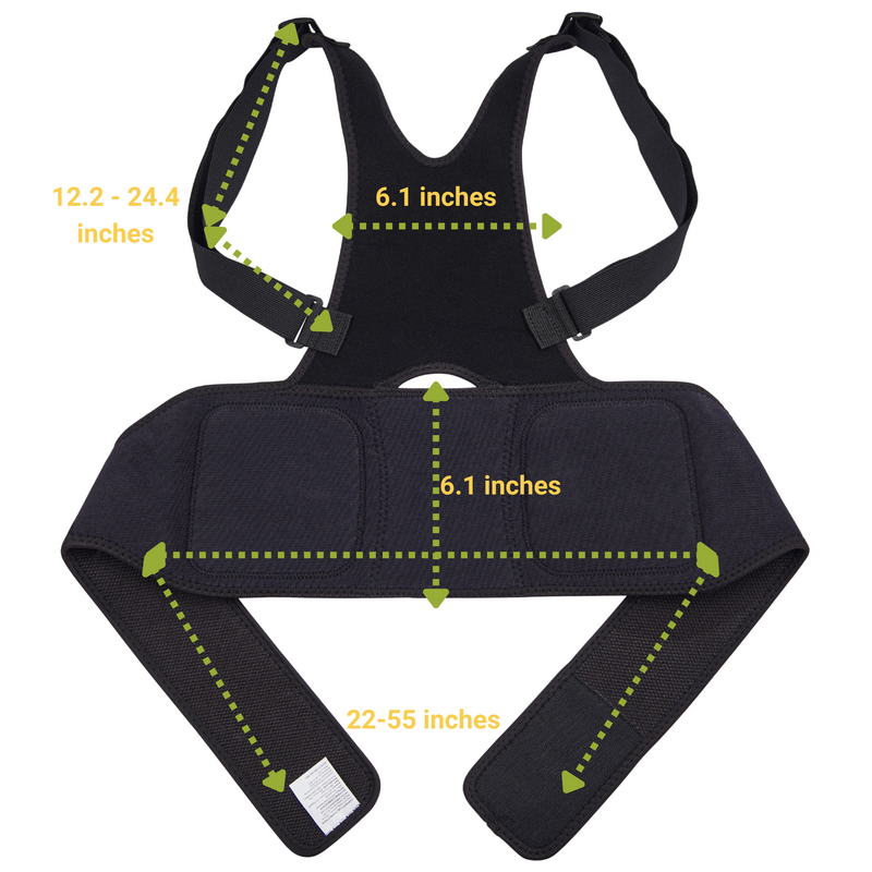 BioFeedBac™ BioPosture Back Corrector